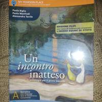 Un incontro inatteso Paravia