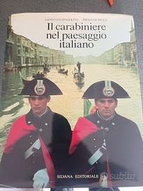 il carabiniere nel paesaggio italiano 