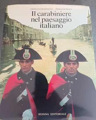 il carabiniere nel paesaggio italiano 