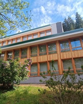 Estate in Val di Sole (TN)