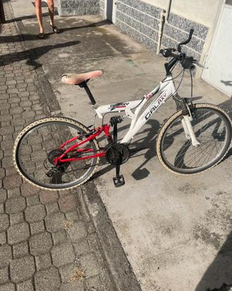 mountain bike 26” biammortizzata