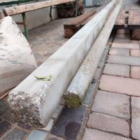 Pali in cemento per frutteto o recinzione