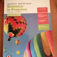 grammar in progress zanichelli 