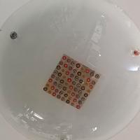 Plafoniera nuova in vetro di Murano