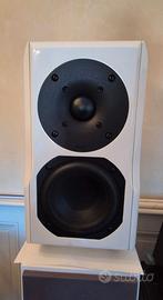 Chario Constellation Lynx mkII