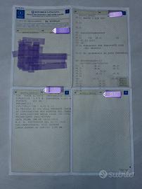 rimorchio trasporto cose