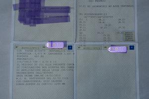 rimorchio trasporto cose