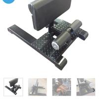 Roman chair sissy squat homegym bluegym palestra