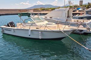 Tiara 2500 Pursuit – 250 CV Suzuki – Assetto Pesca