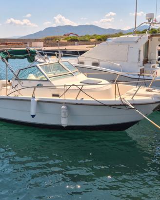 Tiara 2500 Pursuit – 250 CV Suzuki – Assetto Pesca