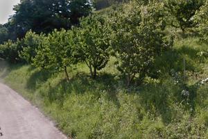 Terreno Agricolo in Val D'Alpone-Loc. Costalunga