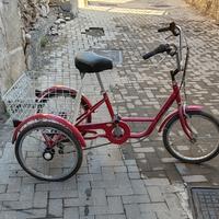 Bicicletta a tre ruote