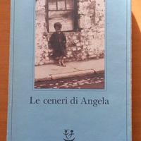 Frank McCourt: Le ceneri di Angela