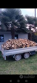 Legna da ardere 