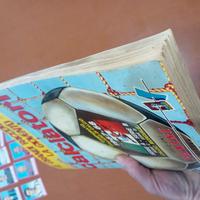 album Panini