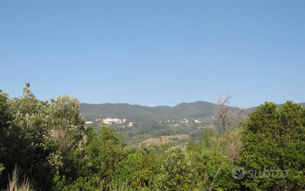 Terreno agricolo a Castellina Marittima