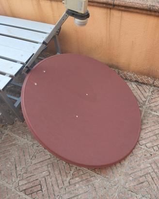 parabola satellitare marrone  con Lnb