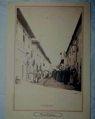 9)Riproduzione cartolina postale Licorno inizi'900