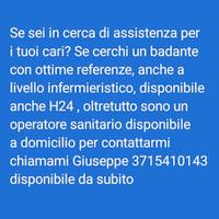badante 