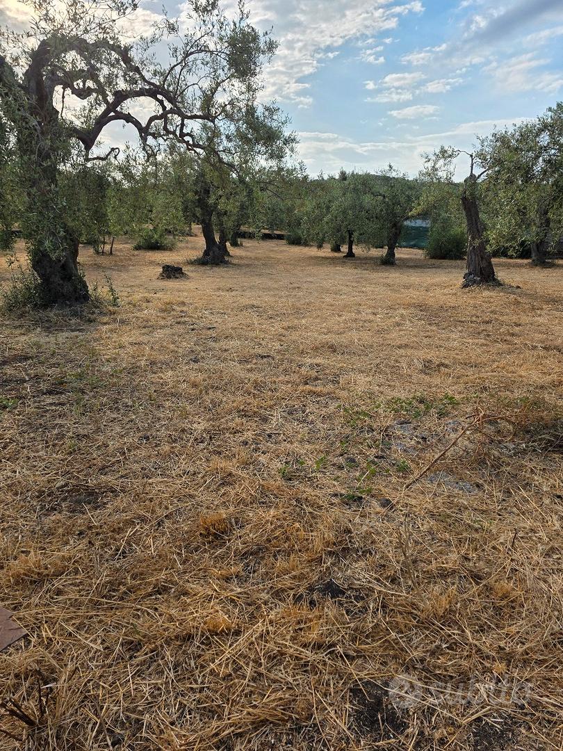 terreno agricolo tutto pianeggiante 4000 metri - Vista 3