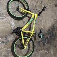 bicicletta