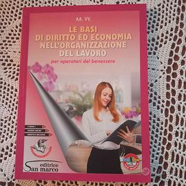 Le basi del diritto ed economia nell'organiz lavor