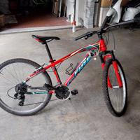 MTB BRERA FIRE 24 POLLICI