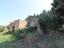 Immagine 8