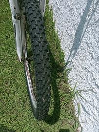 Mountain bike maschile 