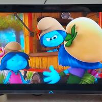 TV full hd da 32 pollici, decoder digitale dentro.