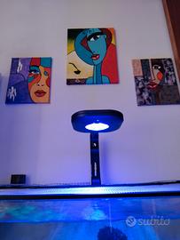 lampada acquario marino 