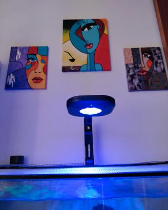 lampada acquario marino 