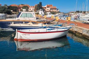 Gozzo in Vetroresina