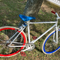 Bicicletta con opzione scatto fisso senigallia