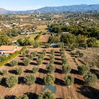 Gallicano nel lazio: rustico con terreno
