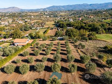 Gallicano nel lazio: rustico con terreno