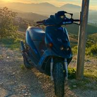 smembro blocco top viola minarelli orizzontale