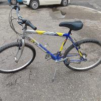 Bici misura 24