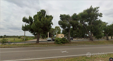 Terreno agricolo Zollino