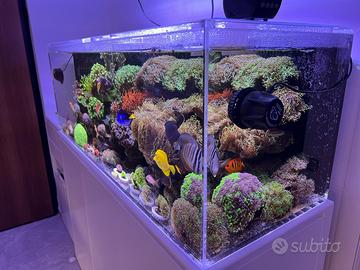 Tecnica Acquario Marino