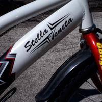 Bicicletta Stella Veneta