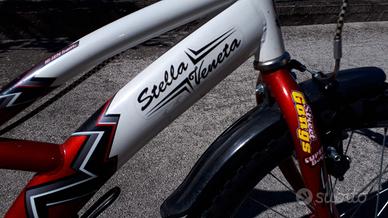Bicicletta Stella Veneta