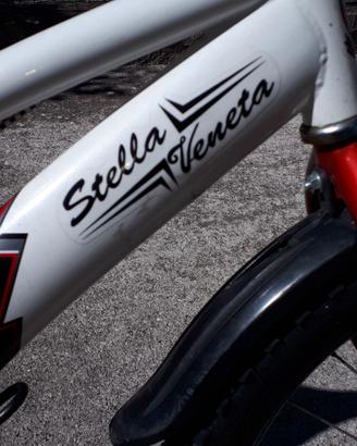 Bicicletta Stella Veneta