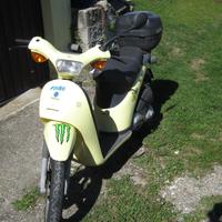 Piaggio Free 50 - 1998