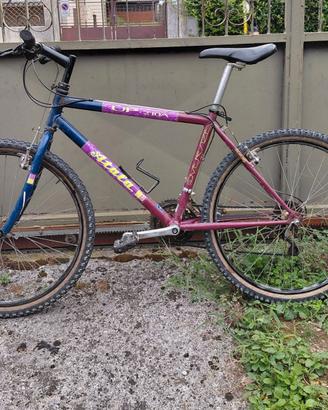 Mountain Bike Atala 210A in buone condizioni