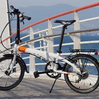 Bici pieghevole link D8