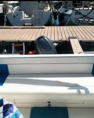 Bellingardo barca cabinata 40cv