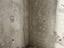 Immagine 23