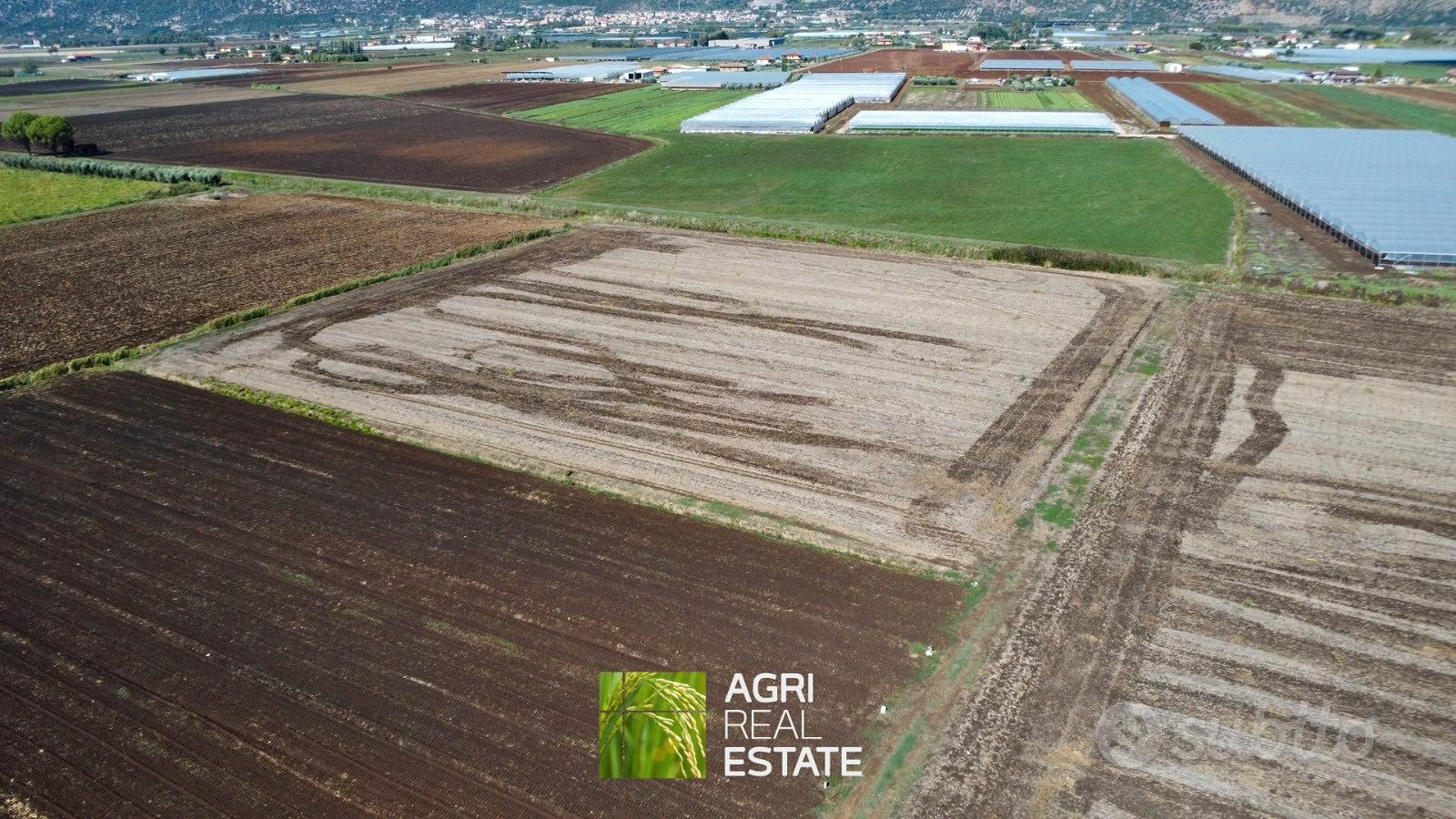 Terreno agricolo 7 HA fronte strada con magazzino - Vista 5