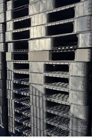 Pallet in plastica